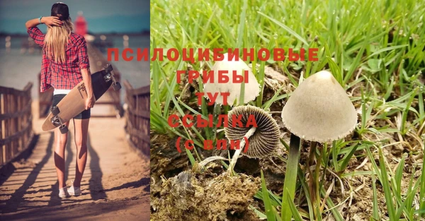 скорость Вяземский