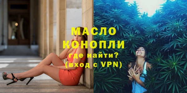 скорость Вяземский