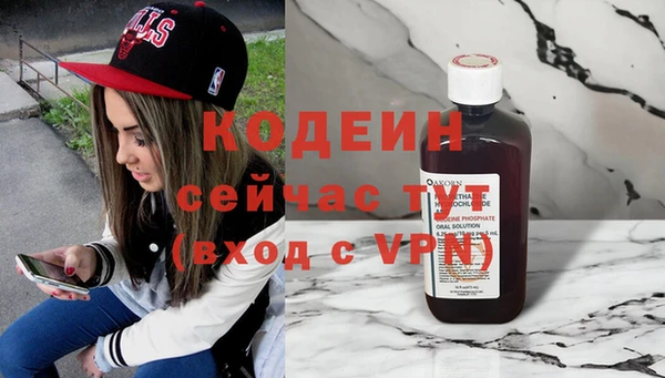 скорость Вяземский