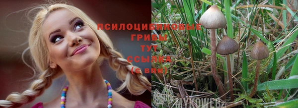 амф Вязники