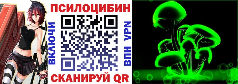omg как войти Пушкино Галлюциногенные грибы MAGIC MUSHROOMS купить